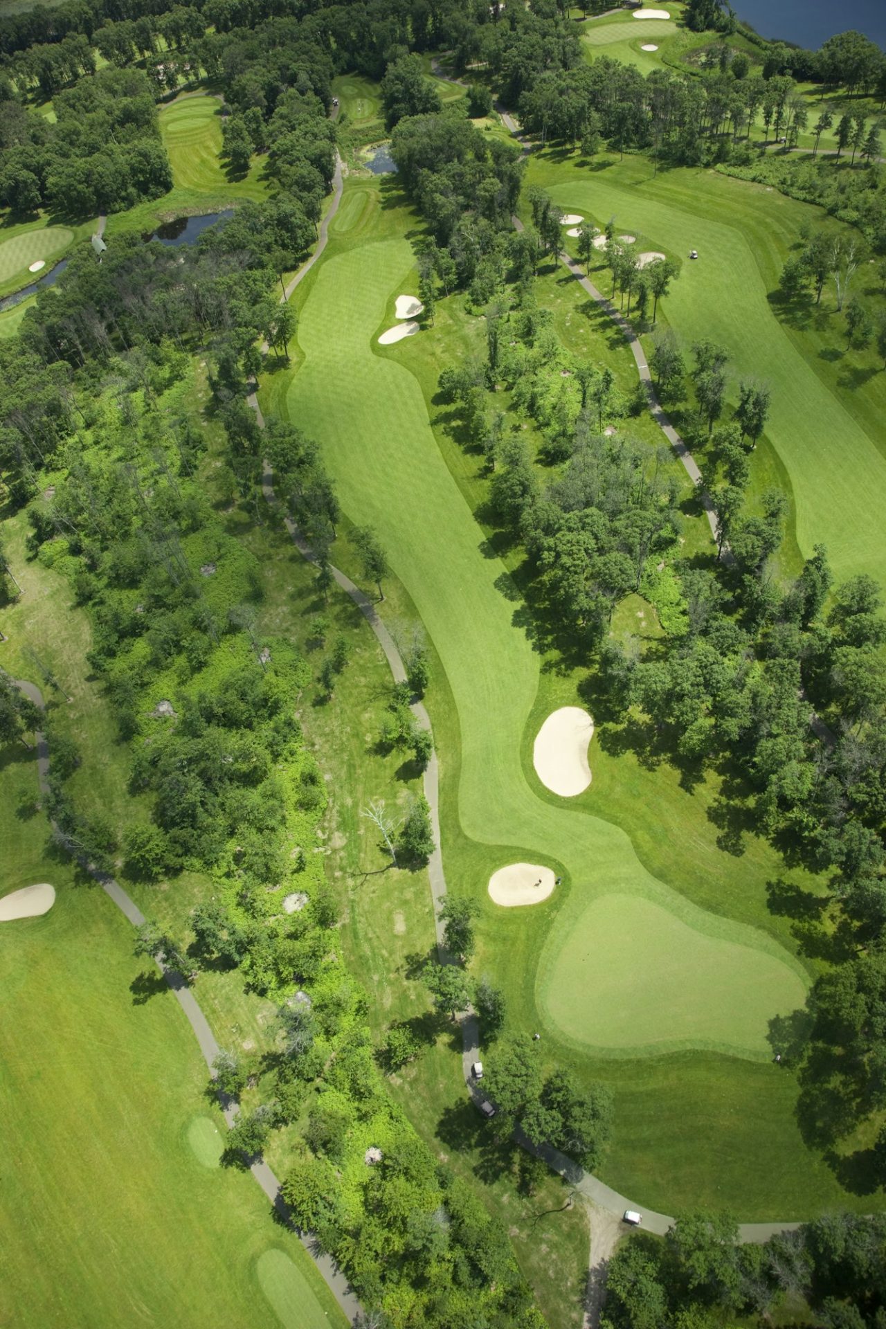 Aerial View of Golf Course During Summer